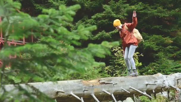 Chica delgada caminando a lo largo de un tronco a través de un río de montaña en el bosque. Turismo en la Reserva del Cáucaso. Va hacia la cámara — Vídeos de Stock