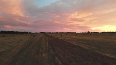 Saman balya bir çiftlik alanı üzerinde altın çok renkli günbatımı. Drone mowed buğday alanın üzerine gece karanlığında uçuyor. Düşük anahtar 4k