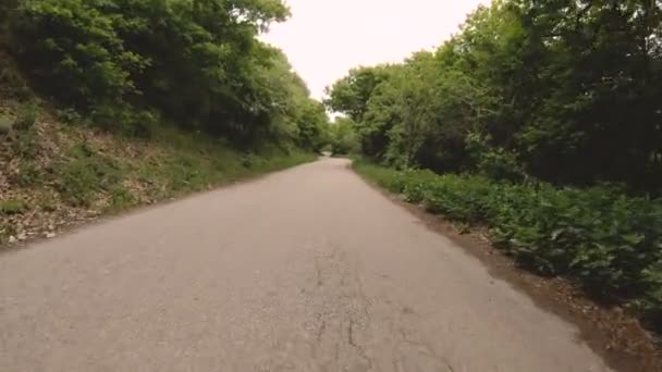 Running on an asphalt road in the forest is a first-person view with a rhythmic swaying of the camera. POV. screen saver emulator — Stock Video