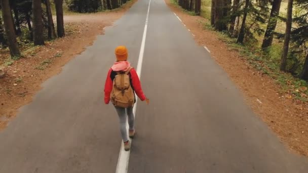 En ung smal tjej i en gul hatt och en vintage ryggsäck promenader längs en asfalterad väg i höstens gula barrskogen. Sida tillbaka uppfattning — Stockvideo