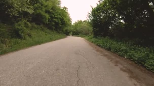 Correr en un camino de asfalto en el bosque es una vista en primera persona con un balanceo rítmico de la cámara. POV. emulador protector de pantalla — Vídeos de Stock