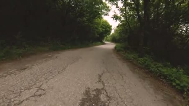 Biegania drogi asfaltowej w lesie jest widok pierwszoosobowy z rytmiczne kołysanie kamery. POV. emulator wygaszacz ekranu — Wideo stockowe