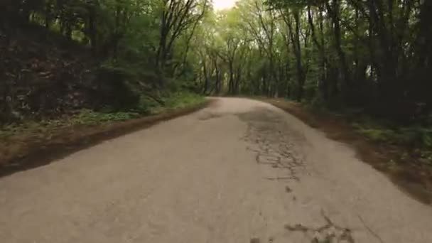 Running on an asphalt road in the forest is a first-person view with a rhythmic swaying of the camera. POV. screen saver emulator — Stock Video