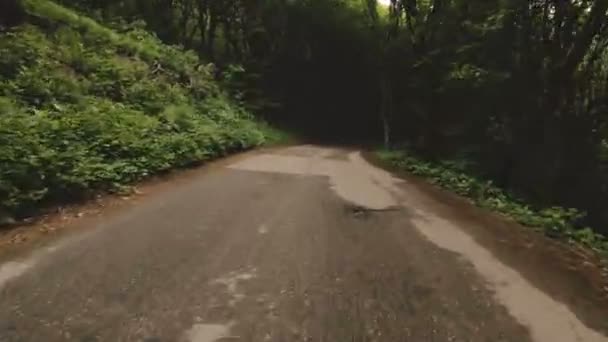 Correre su una strada asfaltata nella foresta è una vista in prima persona con un ondeggiamento ritmico della fotocamera. Punto di vista. emulatore di salvatore di schermo — Video Stock