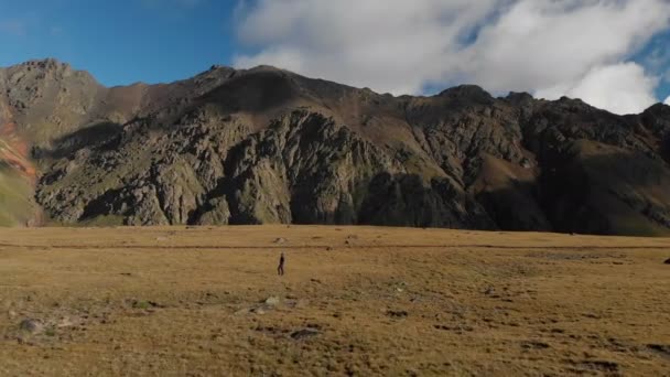 Vista aérea de una fotógrafa caminando sobre una meseta en las montañas con su cámara en el fondo de rocas y montañas. Pasatiempos en la naturaleza 4k — Vídeos de Stock