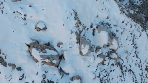 Αεροφωτογραφία γκρο πλαν άκρη του έναν ρέουν παγετώνα που καλύπτονται με χιόνι και πέτρες ψηλά στα βουνά. Φυσική καταστροφή από το λιώσιμο των παγετώνων και την υπερθέρμανση του πλανήτη — Αρχείο Βίντεο