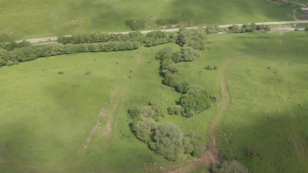 Вид с воздуха на полет над зеленым ущельем в горах летом — стоковое видео