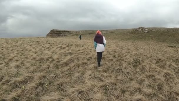 Flickan går i naturen på en platå bredvid en hög klippa. Resor-konceptet — Stockvideo