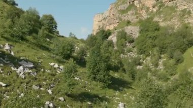 Kayaların üzerinde ağaçlar arasında düşük uçan dağ gorge havadan görünümü