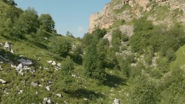 Vista aérea del barranco montañoso volador bajo entre rocas sobre árboles — Vídeos de Stock