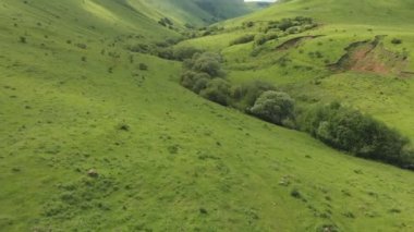Dağlarda yaz yeşil vadide üzerinde uçuş havadan görünümü.