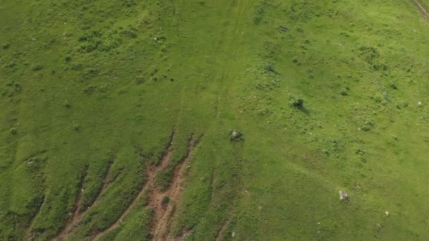 夏の山の緑の峡谷を介して飛行の空撮 — ストック動画