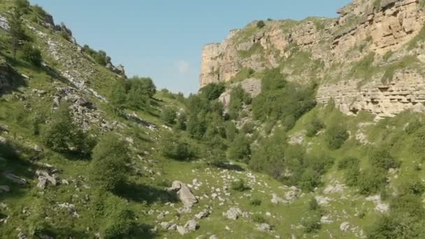 Vista aérea del barranco montañoso volador bajo entre rocas sobre árboles — Vídeos de Stock