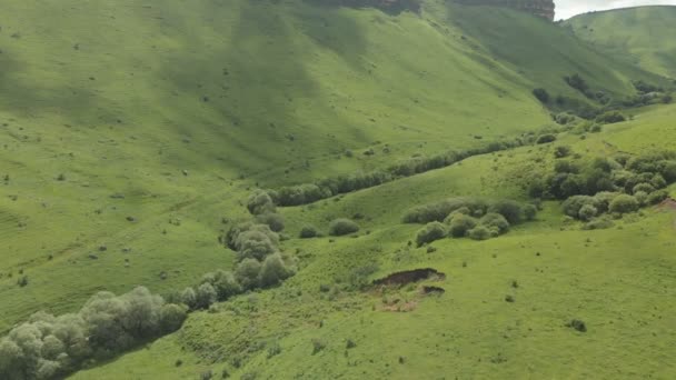 Flygfoto över flygningen över gröna ravinen i bergen i sommar — Stockvideo