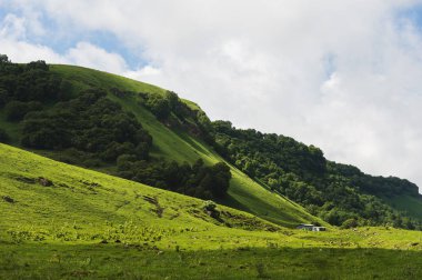 Yaz yeşil peyzaj dağlık dağlar kırsal bir küçük kulübe konumu yanında yeşil mera olan