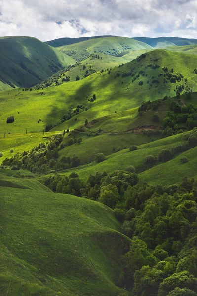 Güneşli yaz yatay, Hill ve ağaçları ile çayır — Stok fotoğraf