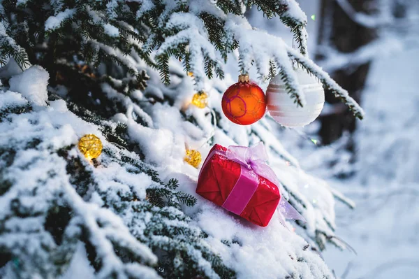 Close-up presente de Ano Novo vermelho com uma fita branca ao lado de brinquedos de Natal nos ramos de uma árvore de Natal coberta de neve na floresta de inverno. O conceito de presentes de Natal e o ano novo — Fotografia de Stock