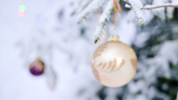 Primo piano di un giocattolo di Natale su un albero vivace coperto di neve nella foresta invernale sullo sfondo di luci. Piccolo DOF — Video Stock