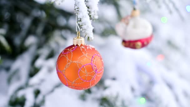 Primo piano di un giocattolo di Natale su un albero vivace coperto di neve nella foresta invernale sullo sfondo di luci. Piccolo DOF — Video Stock