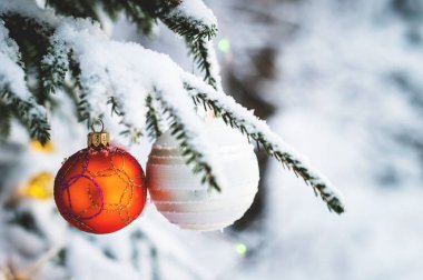 Yakın çekim Noel oyuncaklar kış orman içinde karla kaplı canlı ağaç üzerinde