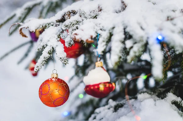 在灯火通明的背景下，在冬季森林里一棵覆盖着雪的生机勃勃的树上的圣诞玩具的特写 — 图库照片