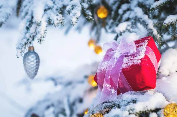 Close-up red New Years gift with a white ribbon next to Christmas toys on the branches of a snow-covered Christmas tree in the winter forest. The concept of Christmas gifts and the new year — Stock Photo, Image