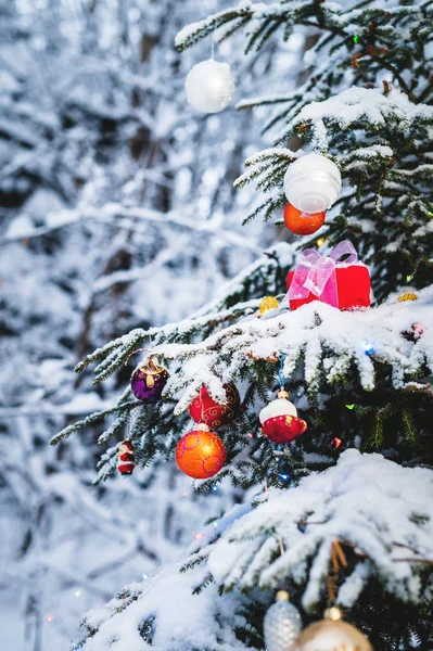 Red New Years gift with a white ribbon next to Christmas toys on the branches of a snow-covered Christmas tree in the winter forest. The concept of Christmas gifts and the new year — Stock Photo, Image