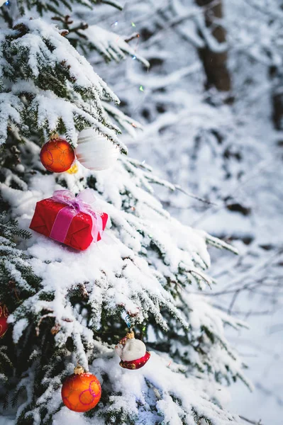 Close-up red New Years gift with a white ribbon next to Christmas toys on the branches of a snow-covered Christmas tree in the winter forest. The concept of Christmas gifts and the new year — Stock Photo, Image