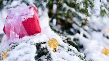 Yakın çekim kırmızı yeni yıl hediye yanındaki Noel oyuncaklar kış orman içinde karla kaplı Noel ağaç dalları üzerinde beyaz bir kurdele ile. Hediyeler Noel ve yeni yıl kavramı