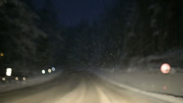 Vi kör igenom en vinter skog längs en snöig väg på natten. Fokusera på snöflingor flyga i vindrutan — Stockvideo