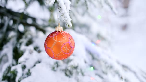 Крупним планом різдвяна іграшка на засніженому живому дереві в зимовому лісі на тлі світла. Малий DOF — стокове відео
