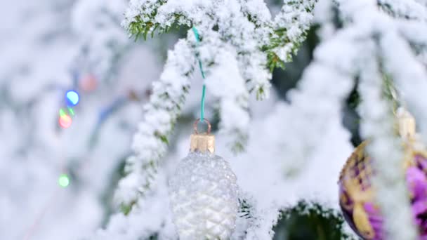 Primo piano di un giocattolo di Natale su un albero vivace coperto di neve nella foresta invernale sullo sfondo di luci. Piccolo DOF — Video Stock