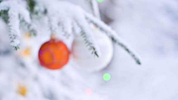 Primo piano di un giocattolo di Natale su un albero vivace coperto di neve nella foresta invernale sullo sfondo di luci. Piccolo DOF — Video Stock