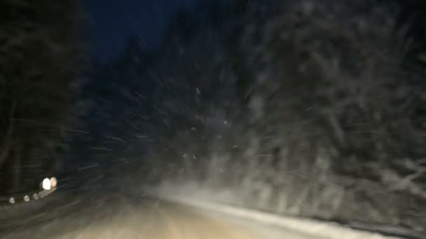 Οδηγούμε μέσα από ένα δάσος χειμώνα χιονισμένο δρόμο τη νύχτα. Επικεντρωθεί σε νιφάδες χιονιού που φέρουν στο παρμπρίζ — Αρχείο Βίντεο