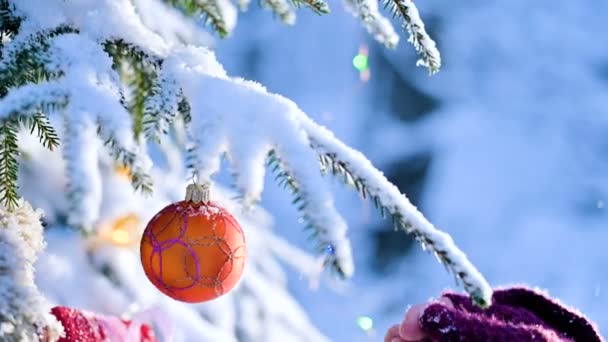 As mãos femininas close-up em mitenes tiram brinquedos em um inverno real de um ramo coberto de neve de uma árvore de Ano Novo — Vídeo de Stock