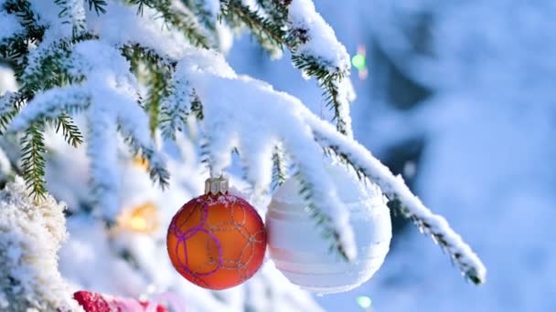 새 해 나무의 눈 덮인 지점에서 진짜 겨울에 장난감이 벗고 근접 여성 손 장갑 — 비디오