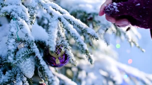 gros plan mains féminines dans les mitaines décoller des jouets en hiver réel d'une branche enneigée d'un arbre du Nouvel An 