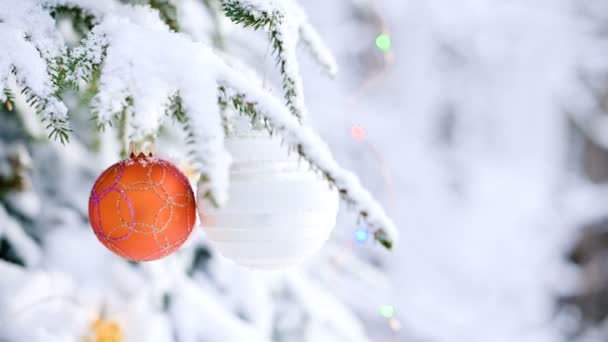 Close-up of a Christmas toy on a snow-covered lively tree in the winter forest on the background of lights. Small DOF — Stock Video