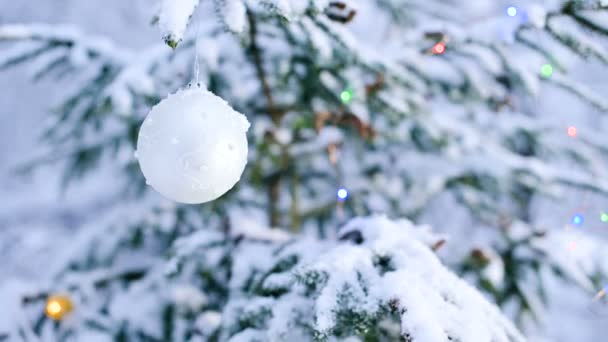 Close-up de um brinquedo de Natal em uma árvore animada coberta de neve na floresta de inverno no fundo das luzes — Vídeo de Stock