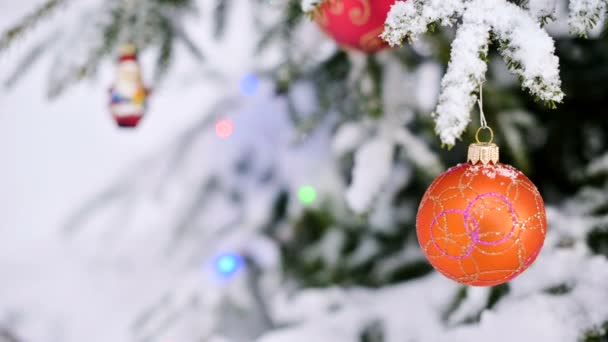 Γκρο πλαν του ένα χριστουγεννιάτικο παιχνίδι σε ένα χιονισμένο δέντρο ζωντανή μέσα στο δάσος του χειμώνα στο φόντο των φώτων. Μικρό Dof — Αρχείο Βίντεο