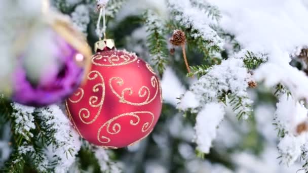 Крупный план женские руки в варежках руки повесить рождественские игрушки украшения елка в реальной зимой на заснеженной ветке новогодней елки — стоковое видео