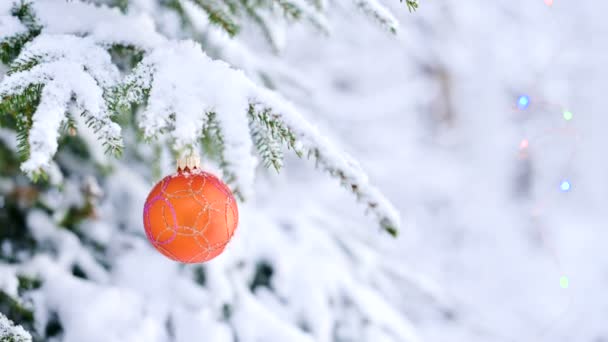 在灯光的背景下, 在冬林中, 一个被雪覆盖的活泼的树上, 特写下一个圣诞玩具。小剂量 — 图库视频影像