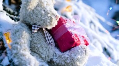 mittens yakın çekim kadın elinde oyuncak gerçek bir kış karla kaplı bir yılbaşı ağacı dalı almak