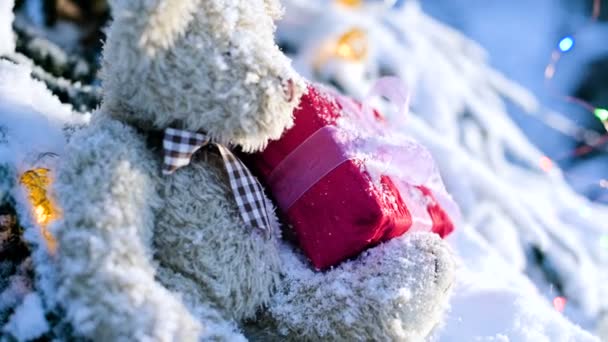 Крупним планом жіночі руки в рукавицях знімають іграшки в реальну зиму з засніженої гілки новорічної ялинки — стокове відео