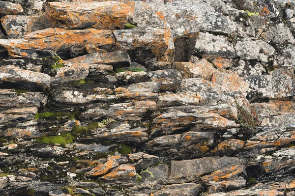 Teksturowane włókna bazaltowe podłoże cienką kamień w cięcia. naturalne formacje wulkaniczne — Zdjęcie stockowe