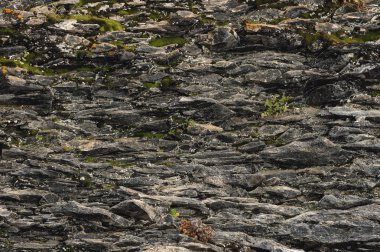 Bazalt arka plan kesme ince taş lifler dokulu. doğal volkanik oluşumlar
