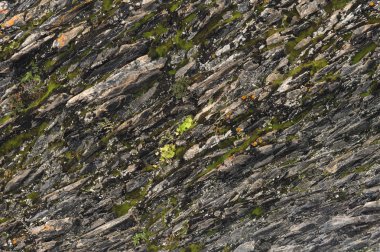 Bazalt arka plan kesme ince taş lifler dokulu. doğal volkanik oluşumlar