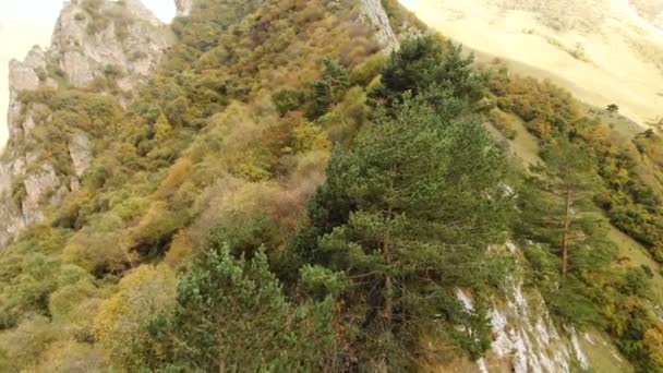 Letu nad horami v hornatém terénu nad jehličnatého lesa s výhledem na horské vesničce v rokli při západu slunce — Stock video