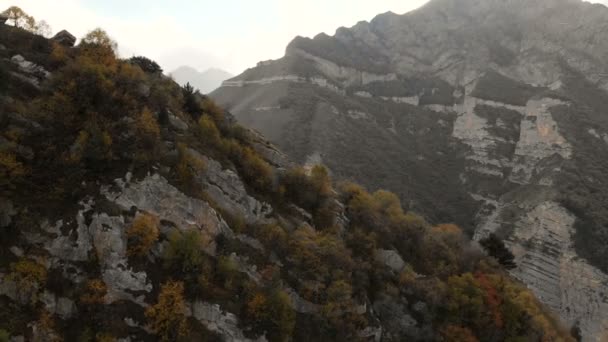 Vuelo sobre las montañas en el terreno montañoso sobre el bosque de coníferas con una vista del pueblo de montaña en el desfiladero al atardecer — Vídeo de stock