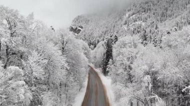 Bulutlu bir günde havadan görünümü bir kış ormandaki bir yol. Ladin ve çam bir dağ vadinin Kuzey Kafkasya'da karda doğa arasında bir güzel kış yol. Rusya
